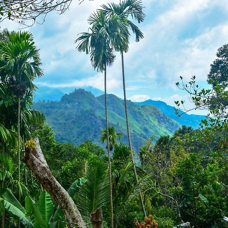 Dawn View Home Stay إيلا الغرفة الصورة